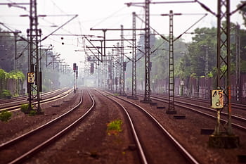railway, trees, daytime, railway tracks, railroad tracks, seemed, track, railway rails, rail traffic, railway line, train