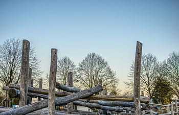 terreno di gioco, pianta rampicante, parco di arrampicata, Klettergerüst, legna, tronchi d'albero, area di gioco dei bambini, giocare, dispositivo di gioco, scalata, torre di arrampicata