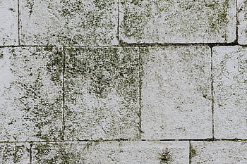 batu bata, background, trotoar, batu, paving, Tua, bata