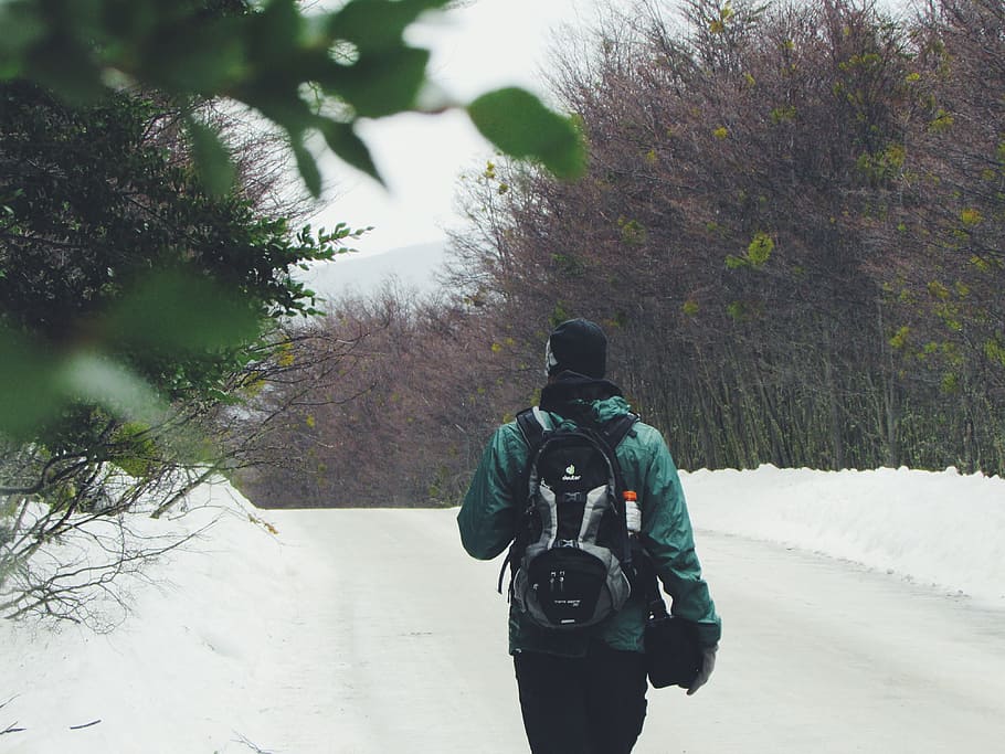 snow, winter, white, cold, weather, ice, trees, plants, nature, people, man