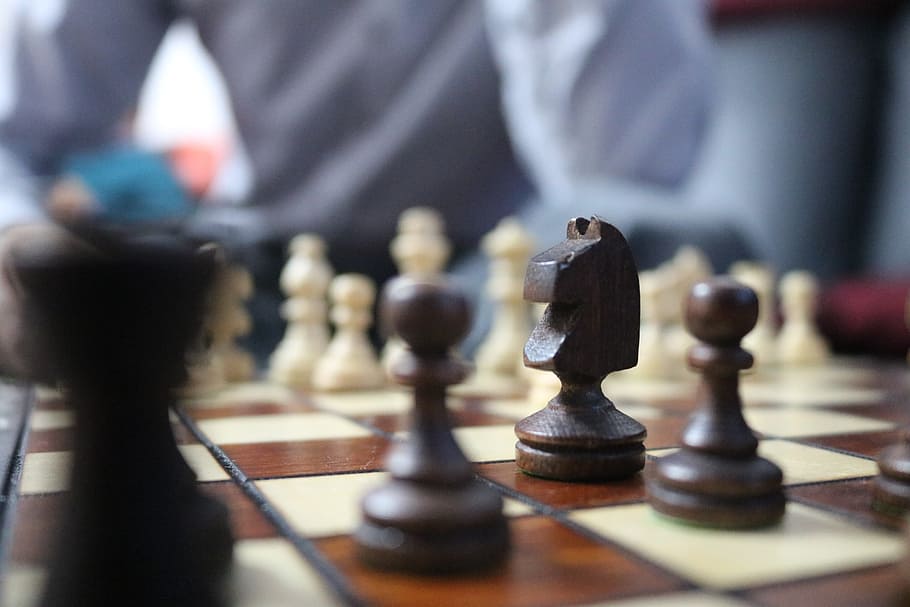 chess, horse, chess board, chess pieces, strategy, playing field, large, figure