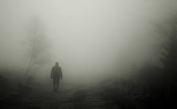 muž, chůze, strom, chodci, podzim, mlha, člověk, nálada, atmosféra, krajina, zadní světlo