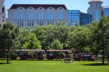 houston, texas, herman national park, train, trees, grass, pasture, field, playing, children, medical