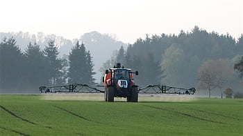 traktor, zemědělský, zemědělství, práce v terénu, distribuovat, pole, Steyr, kontroly plevelů, ochrany rostlin, mlha