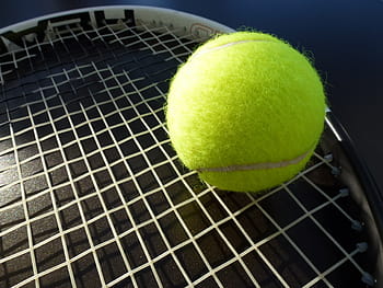pallina da tennis verde, tennis, palla da tennis, racchetta da tennis, sport, gioca a tennis, palla, tempo libero, gli sport, sport da tennis
