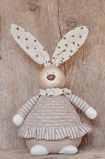 fotografie, iepure, purtare, gri, tricou polka dot, pluș, jucărie, deco, iepure de câmp, iepurașul de Paște, decor