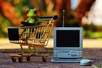 Červené, oční žába, nákupní košík, Online nakupování, nakupování, nákupu, cukroví, vozíku, nákupní seznam, jídlo, seznam