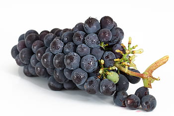 purple grape bundle, grapes, bunch, fruit, viticulture, sweet, red, ripe, harvest, purple, vine