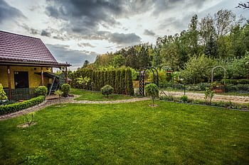 the plot, garden, green, spring, nature, grass, lawn, bower, garden terrace, scenery, peace of mind