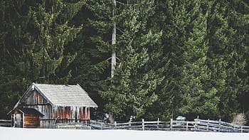 snow, covered, house, green, trees, cabin, home, barn, fence, woods, forest