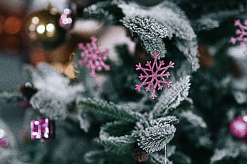 dekorasi pohon natal, pohon Natal, dekorasi, pohon, natal, bola Natal, xmas, bola, musim dingin, salju, Ornamen natal