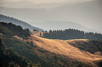 zelená, stromy, hnědý, hora, během dne, hnědá hora, šedá, krajiny, hory, borovice, Příroda