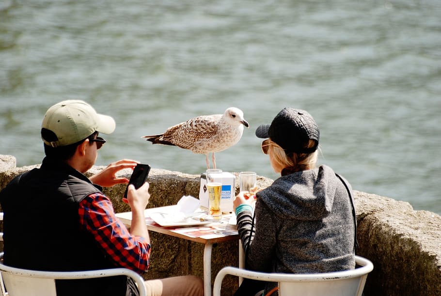 tourism, travel, holiday, tourist, rest