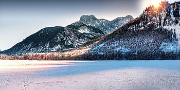 la neve, inverno, bianca, freddo, tempo metereologico, ghiaccio, alberi, piante, natura, sole, montagna