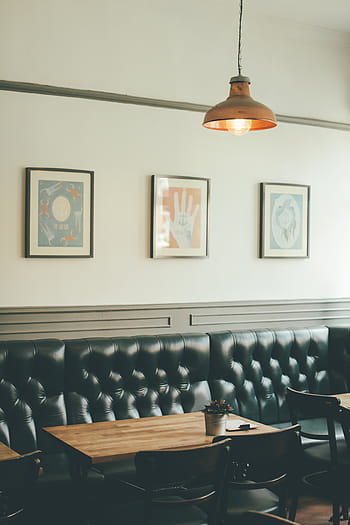 všívané, Černá, zadní, kůže, polstrovaný, gauč, kavárna, restaurace, večeře, jídelna, design