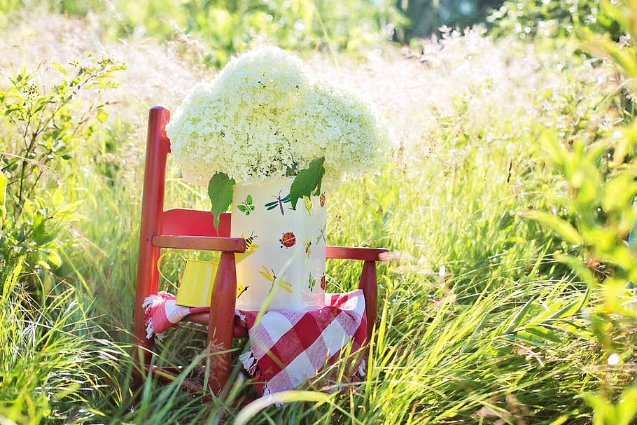 white, cluster flowers, vase, red, armchair, daytime, hydrangeas, pitcher, summer, red rocker, nature