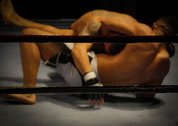 two, men, grappling, mma, wrestling, fighting, ring, sports, athletes, fitness, tattoos