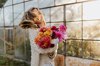 Dalia, dalias, flores, colorido, pétalos, floración, flor, plantas, florista, floral, hermosa