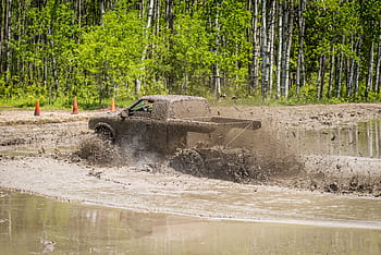 Mud Bog, Truck, Dirty, Outdoors, Extreme, 4wd, 4x4, swamp, off-road, motorsport, mud