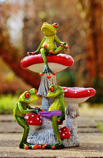 žáby, houby, čísla, skupina, legrační, roztomilý, zvířat, sladký, moucha agaric, zvědavý