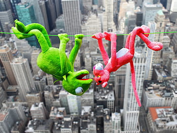 růžový, panter, kermit, žába, plyš, hračky, zelená, řetězec, přes, městské budovy, růžový panter