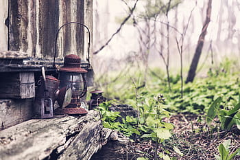photography, two, brown, lanterns, brow, gray, log, nature, object, lazy, lantern