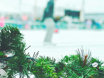 sans titre, peu profond, concentrer, la photographie, vert, guirlande, Noël, journée, décor, art, lumière