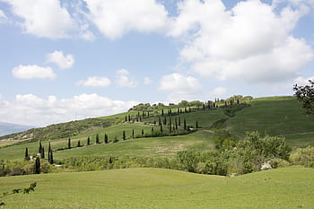kampanje, Toscana, Italia, grønn, landskap