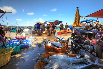phu quoc ostrov, rybářů, rybářská loď, síťované sítě, přístav, molo, shon, zaneprázdněný, hlučný, bouřlivý, práce