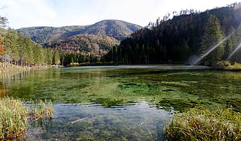 stagno schierato, Hinterstoder, Austria, l'autunno del 2019