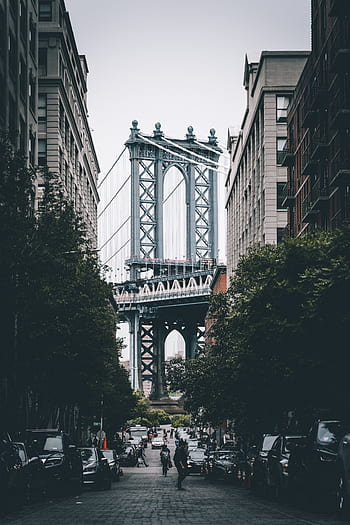 città, ponte, centro, strada, vista, edifici, macchine, alberi, persone, urbano, nyc