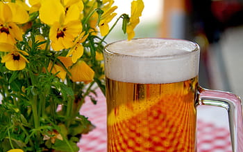 clar, halbă de bere, galben, flori, bere, sticlă, băutură, grădina de bere, gustare, sete, alcoolic