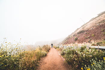 muda, wanita, berkabut, cuaca, Hiking, Jalur Gunung, Foggy Weather, aktif, sendiri, kabut, gadis