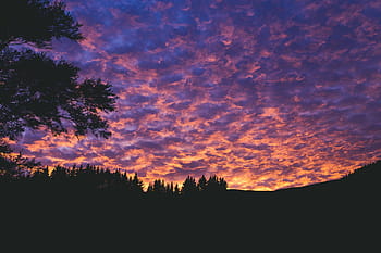 silhouette, alberi, arancia, tramonto, buio, nuvole, cielo, nuvoloso, pianta, natura, albero