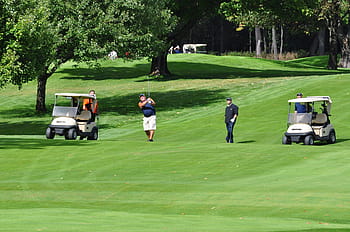 persona, jugando, golf, verde, campo de hierba, carros de golf, golfista, calle, columpio, jugador