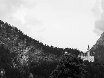 gråtonebilleder, slot, bjerge, gråtoner, Foto, top, bjerg, neuschwanstein slot, bayern, Tyskland, arkitektur