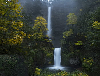 Multnomah, Falls, Oregon, autumn, waterfalls, surrounded, tall, trees, daytime
