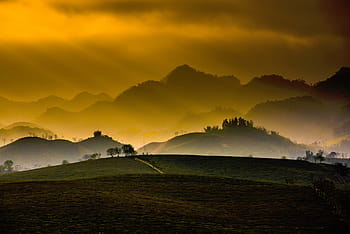 silhouette, trees, mountain range, nature, mountains, grass, plains, sky, cloud, sunlight, gradient