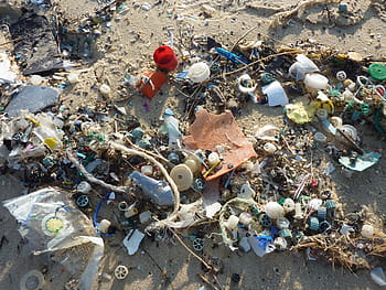 garbage on seashore, Guise, Plastic, Waste, Sea, Mare, plastic, waste, pollution, coast, ufer, strand