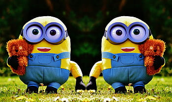 dva, stuart minion, plyš, hračky, zelená, pole, během dne, přisluhovači, legrační, postava, roztomilý