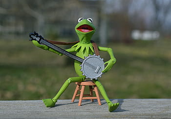kermit, frog, playing, banjo, muppet, puppet, toy, childhood, green, amphibian, music