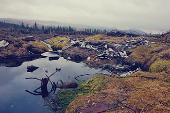 jezero, střední, suchý, zemí, hnědý, zelená, tráva, scenérie, hora, voda, dřevo