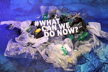 plastics, recycle, oceans, recycling, waste, garbage, pollution, plastic, environment, trash, environmental