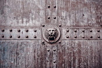 hnědý lev klepadlo, fotbalová branka, portál, dveře, vstup, brána, historicky, architektura, starý, kování, staré dveře