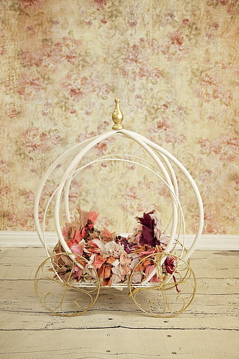 white, brown, metal carriage, shag, textiles, carriage, baby, princess, newborn, digital backdrop, cinderella