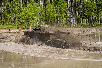 Mud Bog, Truck, Dirty, Outdoors, Extreme, 4wd, 4x4, swamp, off-road, motorsport, mud