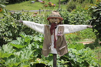 hobbit, hobbiton, nz, new, zealand, matamata, auckland, sun, holiday, movie, set