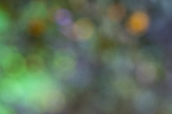 추상, 배경, 빛, 보케, 조직, 아름다운, 무늬, 녹색, 그림 물감, 표면, 세부 묘사
