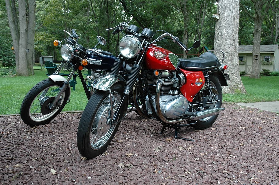 オートバイ、 イギリス人、 BSA