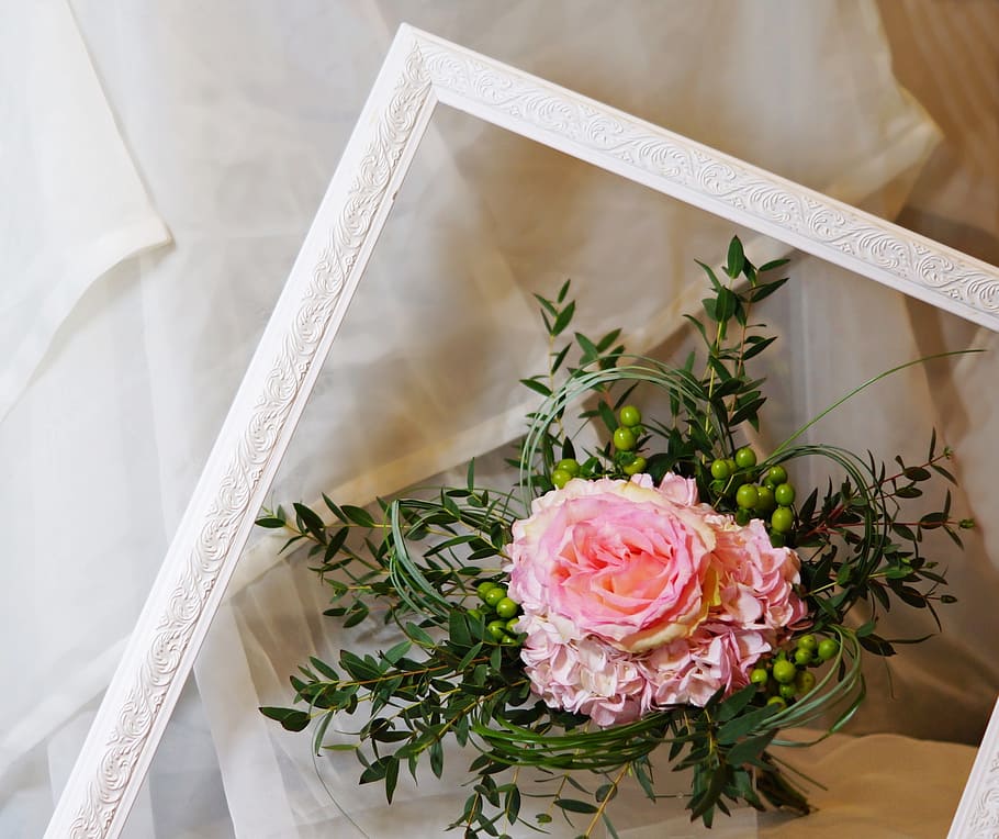 frame, rose, custody, flower, retro, pink